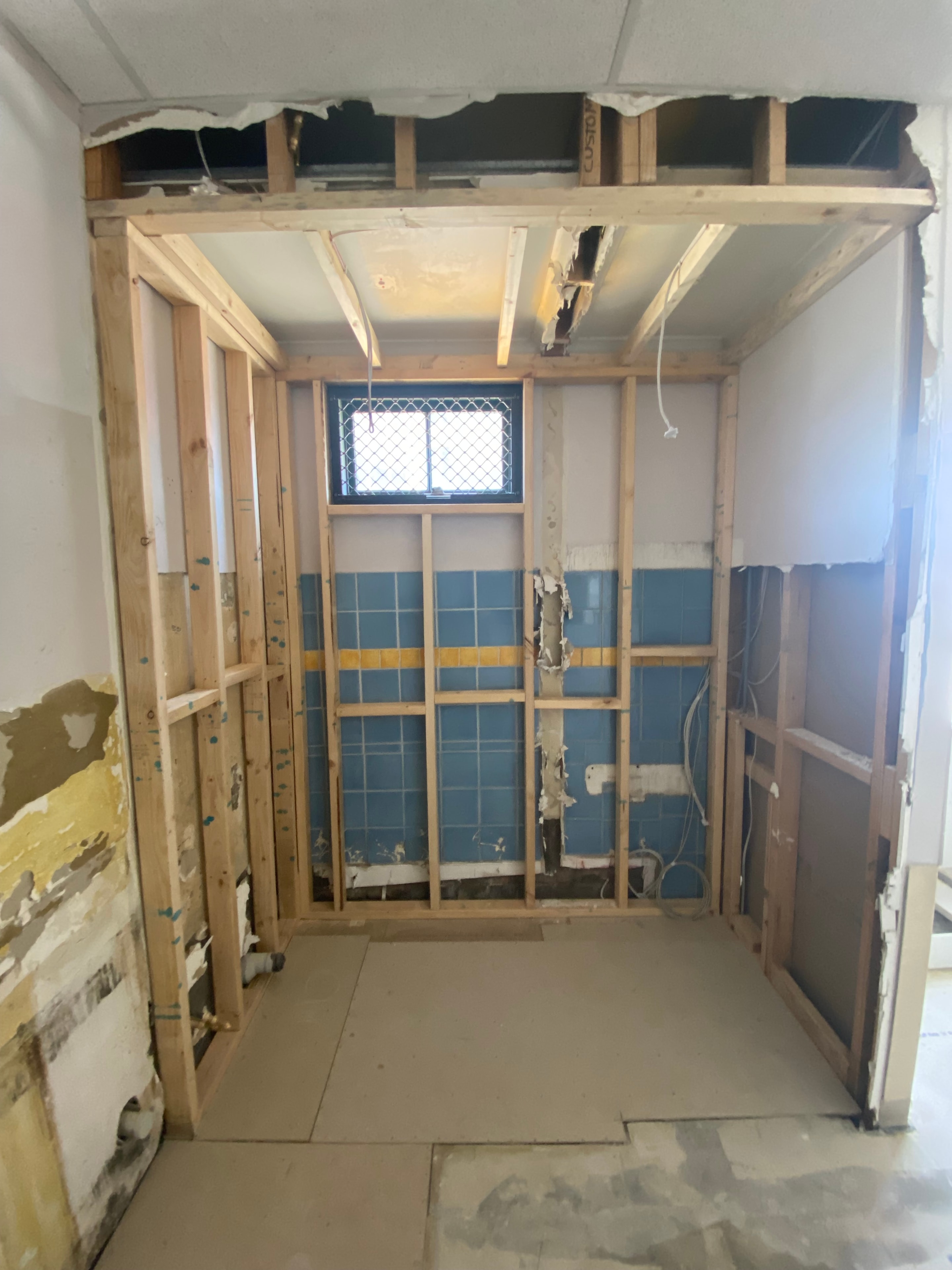Brunswick Central Vet — demolition phase showing structural framing and strip-out