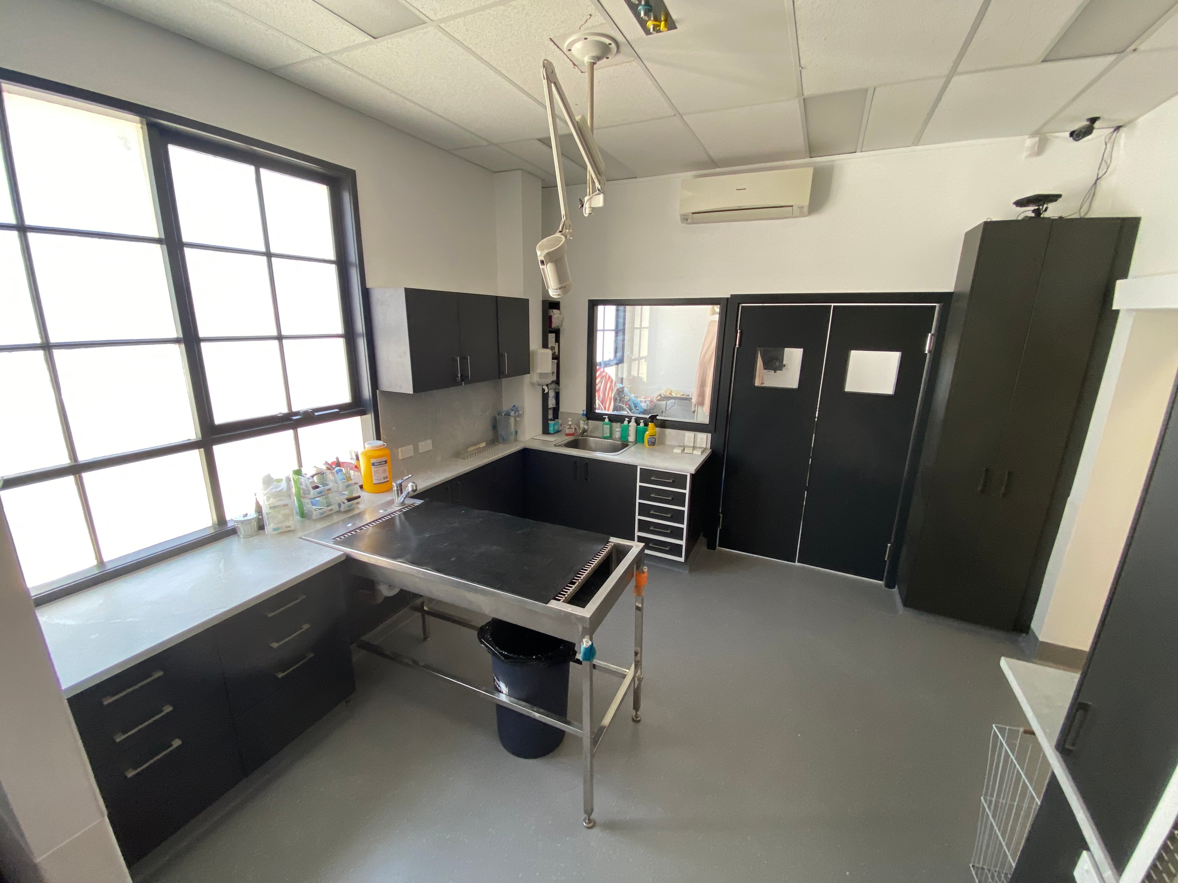 Brunswick Central Vet — treatment room with dark cabinetry, stainless table and surgical light