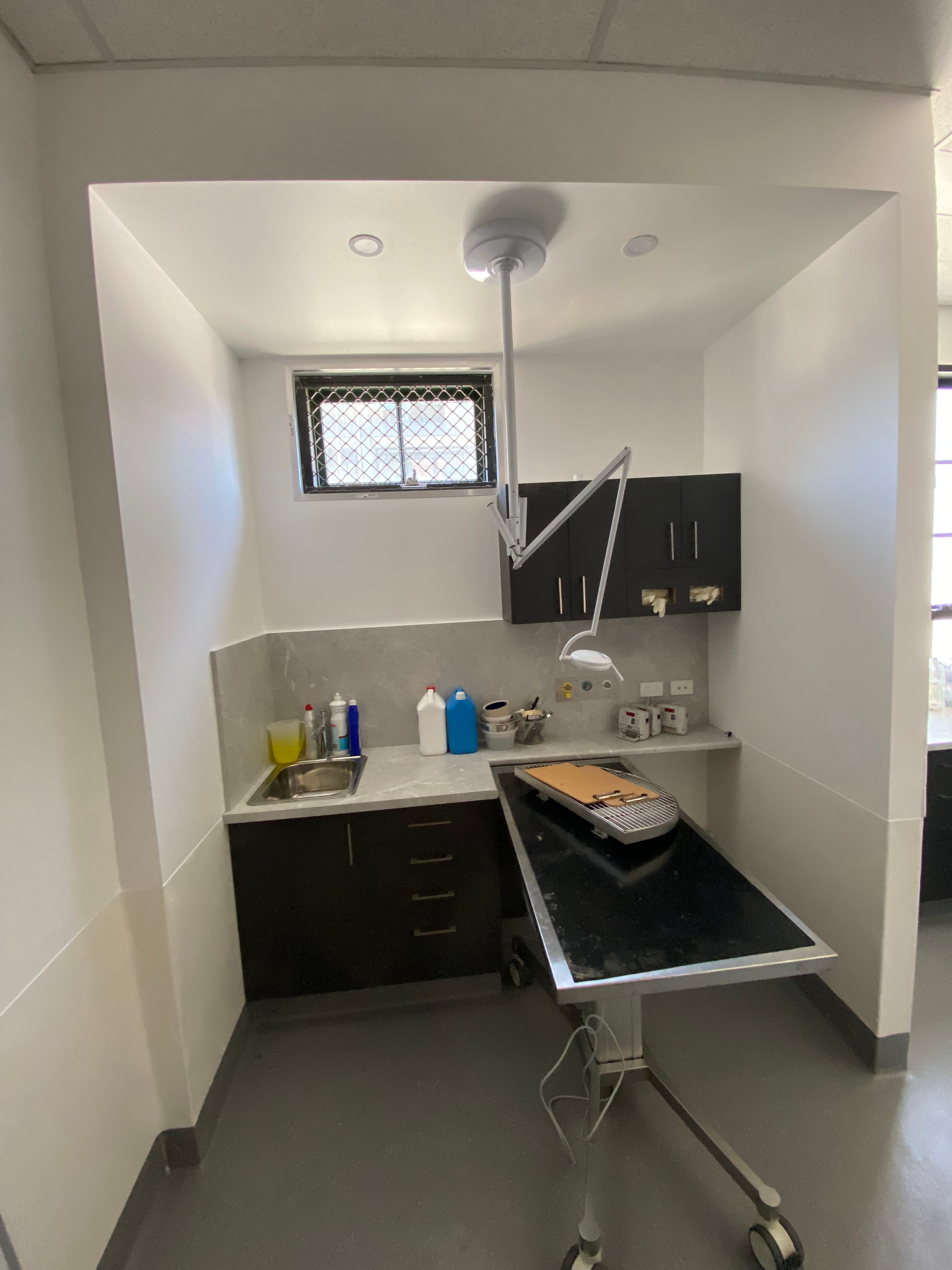 Brunswick Central Vet — overhead view of treatment area showing cabinetry layout